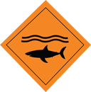 Attention ! des requins dangereux ont été observés sur la zone
