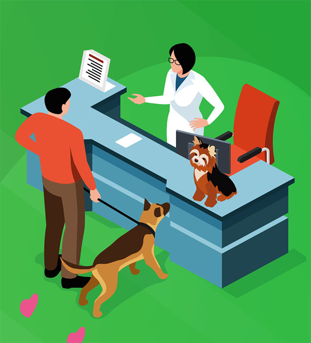 illustration : chat et chien chez le vétérinaire