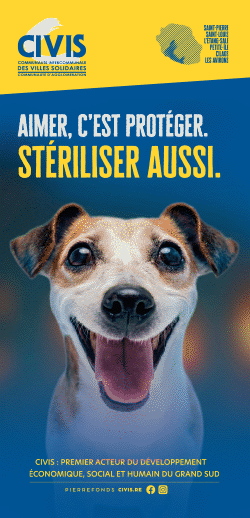 Guide étape par étape à télécharger. Comment bénéficier de l'aide 2026 à la stérilisation : Chiens