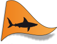 orange requin