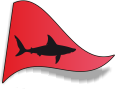 drapeau requin