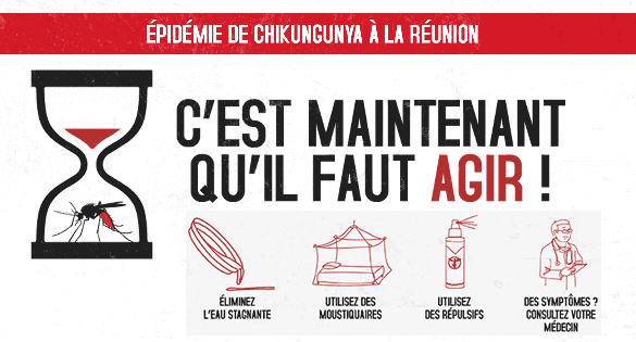 Épidémie de chikungunya à La Réunion